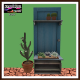 Mexico - Old Door with Cactus