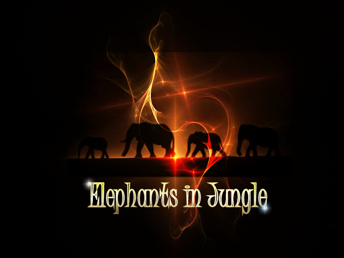 Bunny's Sounds-Elephants in Jungle-Full perm sounds