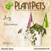 PlantPet Seed [Ivy *Nacreous*] rare Release Day 14.08.2021