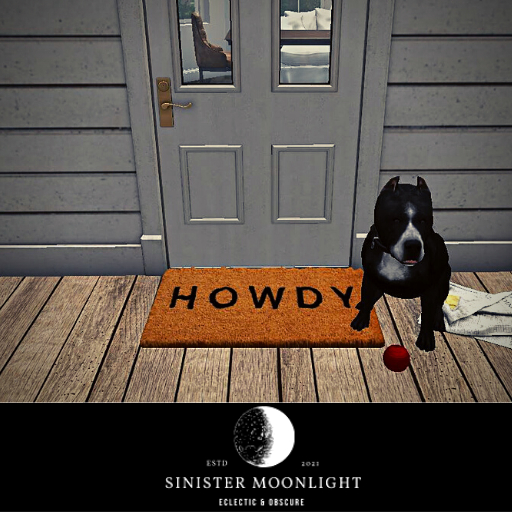 Howdy Doormat Rug 