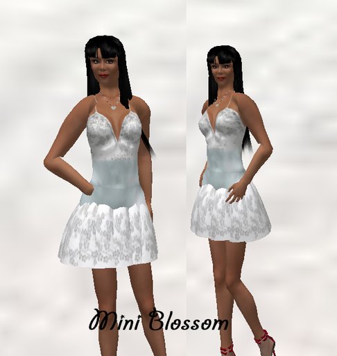 ARY Mini  White Blossom 
