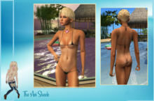 TANK SUIT LINES FOR BOM BODIES!