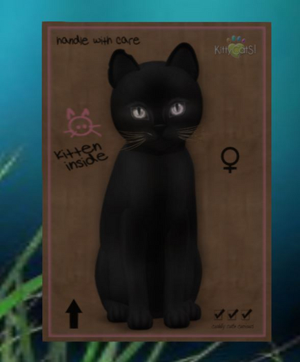 Russian - Black 2