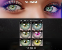 S H I M M / Genus Eyes Applier / CXXXI
