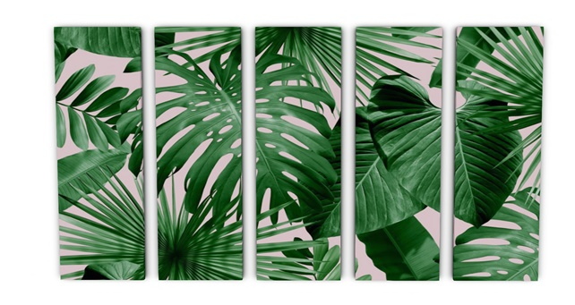 BONAFIDE - .:MS:. Art Painel plants
