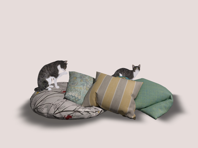 Ground Pillows with cats