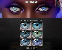 S H I M M / Genus Eyes Applier / CXXIV