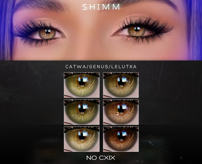 S H I M M /  Eyes Applier / CXIX FATPACK