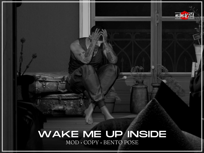 - Mamacita - Wake Me Up Inside - pose