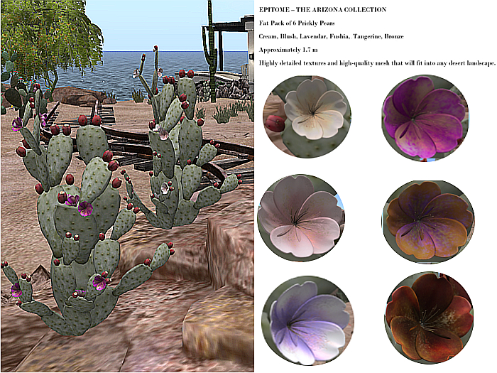 EPITOME Prickly Pear Pack