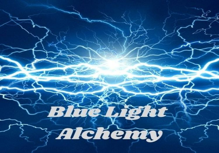 Merlot Bear Average Male 