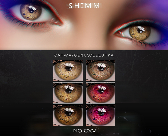 S H I M M /  Eyes Applier / CXV FATPACK
