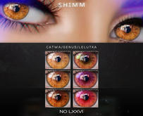 S H I M M / EYES LXXVI FATPACK