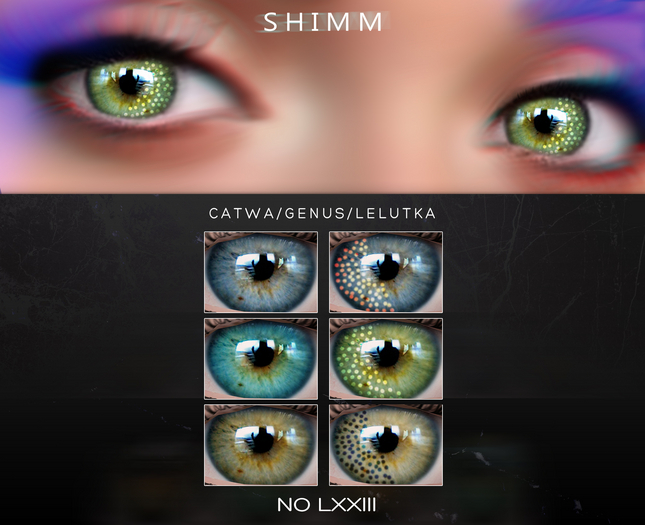 S H I M M / GENUS EYES LXXIII