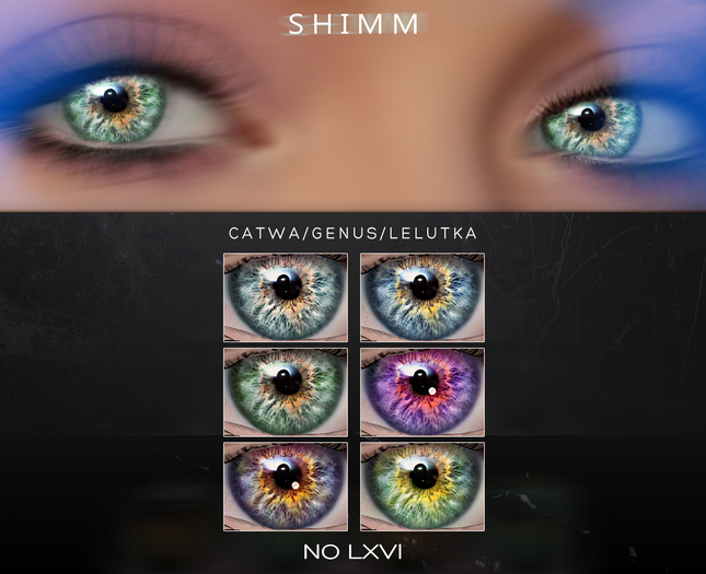 S H I M M / EYES LXVI FATPACK