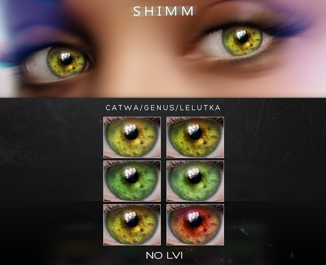 S H I M M / EYES LVI FATPACK