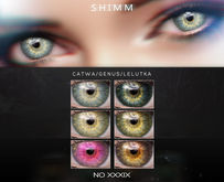 S H I M M / EYES XXXIX FATPACK