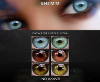 S H I M M / EYES XXXVIII FATPACK