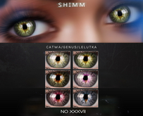 S H I M M / EYES XXXVII FATPACK