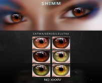 S H I M M / EYES XXXIV FATPACK