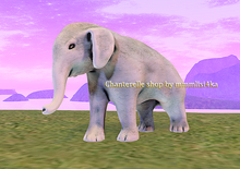 Le Petit Cirque - 10 - Elephant