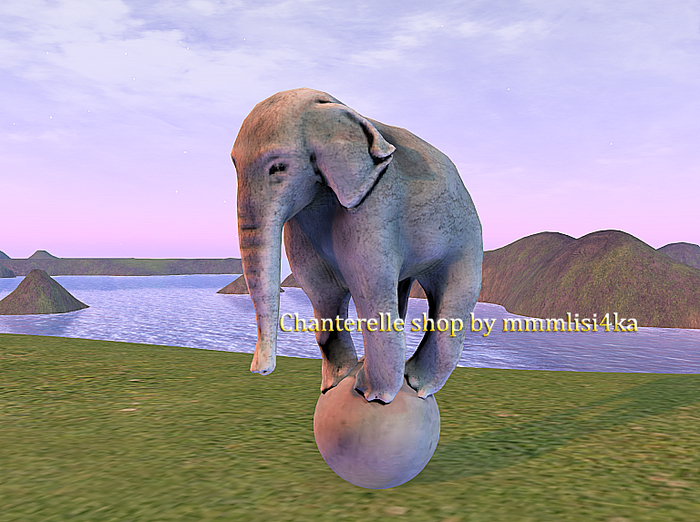 05 Le Petit Cirque - Elephant talentueux