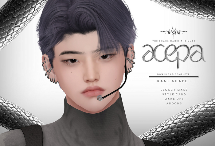 acepa - kane shape 01 