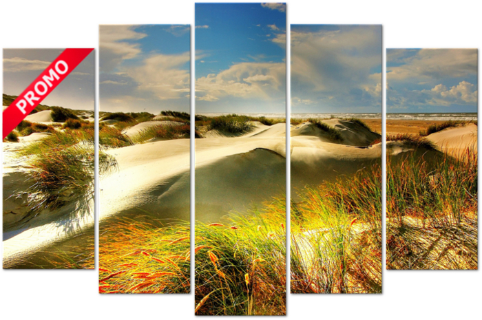 Sand Dunes