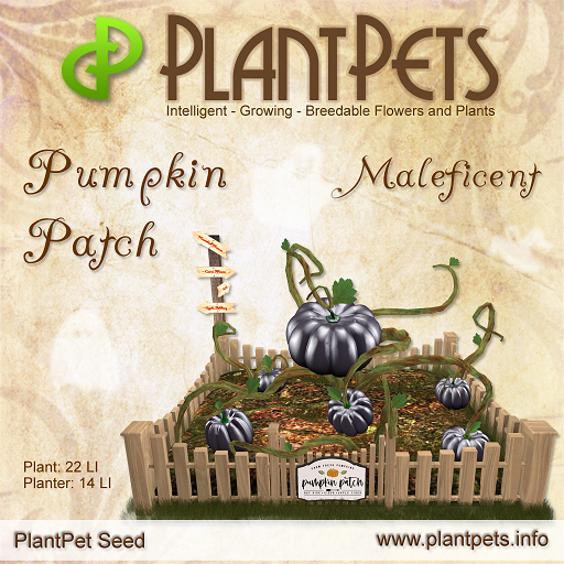 PlantPet Seed [Pumpkin Patch *Maleficent*] COMMON