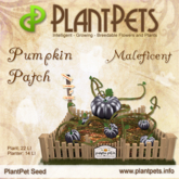 PlantPet Seed [Pumpkin Patch *Maleficent*] COMMON