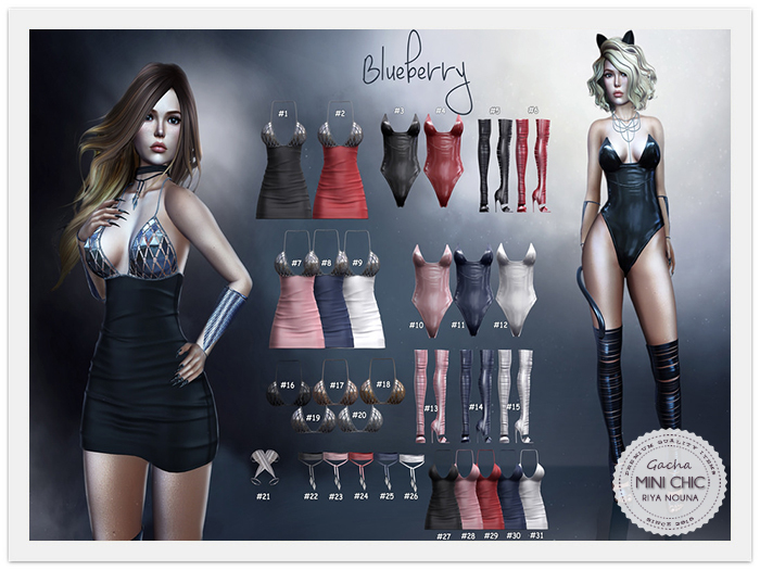 Blueberry - Energy - Pixie - Full Set
