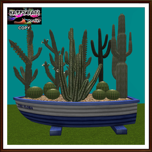Spring - Blue Boat Cactus Garden