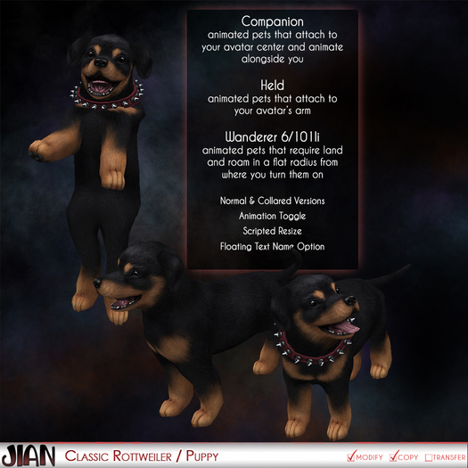 JIAN Classic Rottweiler / Puppy  
