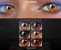 S H I M M / EYES XXIV FATPACK