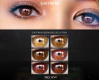 S H I M M / EYES XVI FATPACK