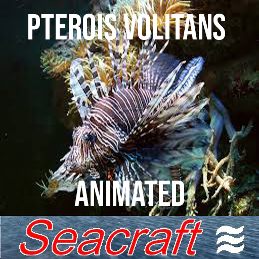 Pterois Volitans Animated