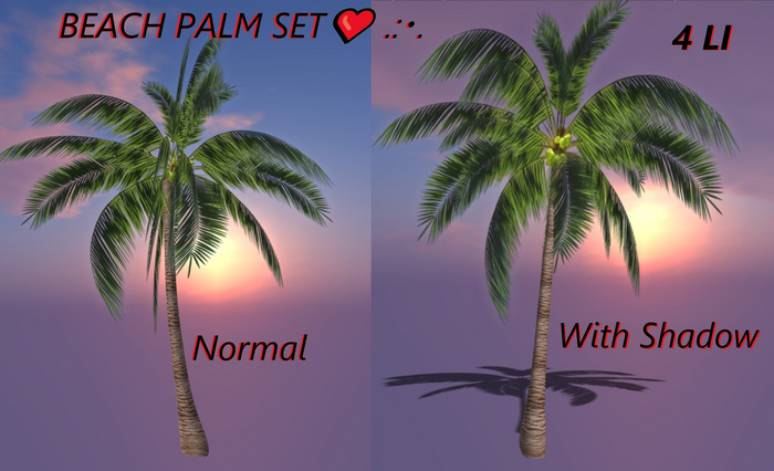 BEACH PALM SET