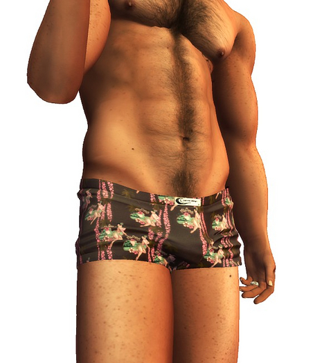Danitz Designs Aloha boxer shorts