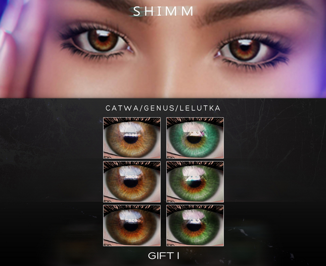 S H I M M /  GIFT I