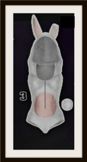 REIGN.- BUNNY ONESIE (MAITREYA) #3