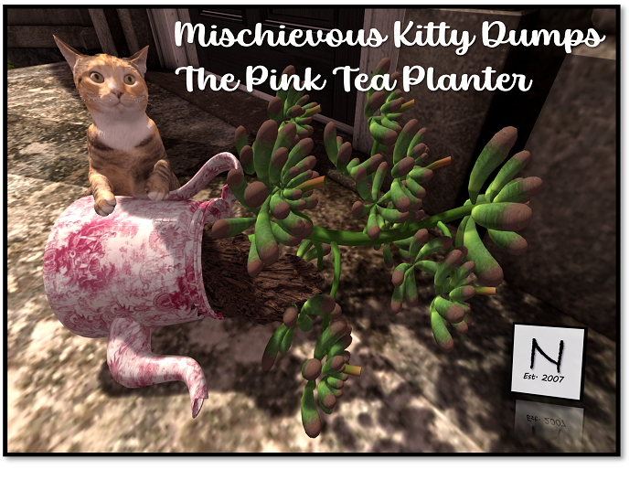 Mischievious Kitty Strikes Again - Fallen Plant Red Ceramic