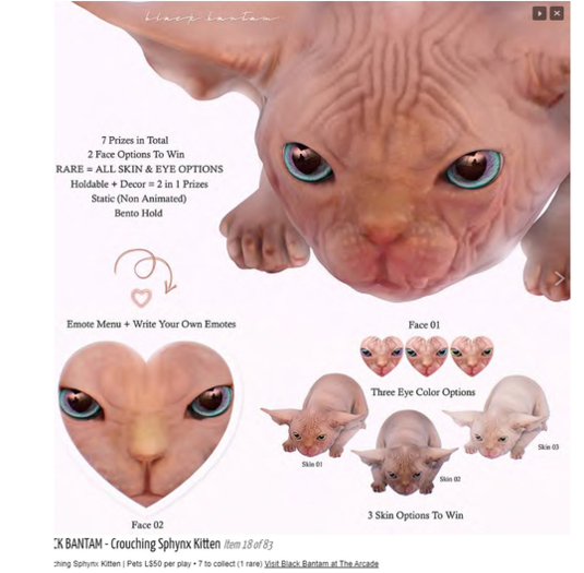 *[BB] Crouching Sphynx Kitten 2in1 Face 02 Skin 02