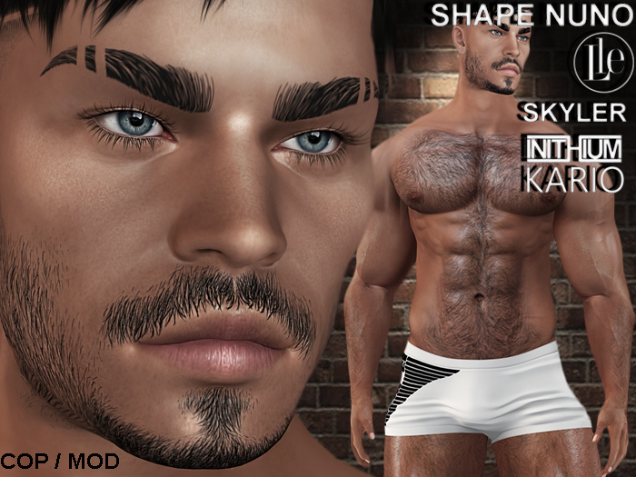 ::DIA::SHAPE NUNO SKYLER KARIO