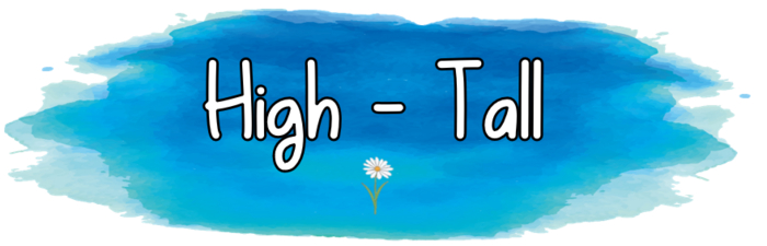 Trivia Daze - High Tall For Trivia Balls