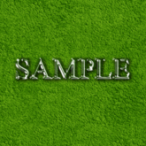 Zoy Texture [ Designers Carpet 02 ] Seamless - Forest