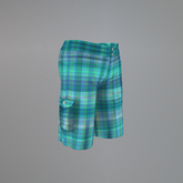 Aqua Plaid Belleza Shorts