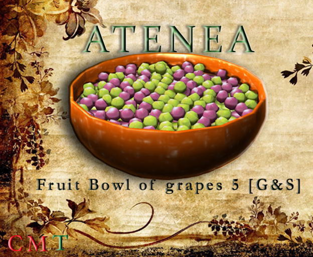  Fruit Bowl of grapes 5 [G&S]