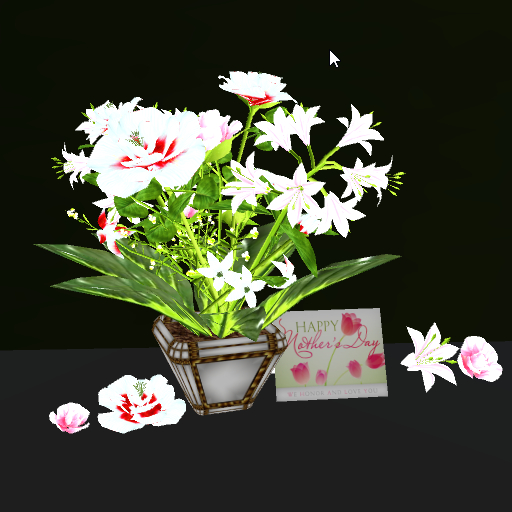 LW- Happy Mother's Day 3