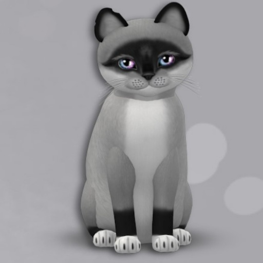 KittyCatS Box - New Born Kitten BOY - NORMAL SIZE