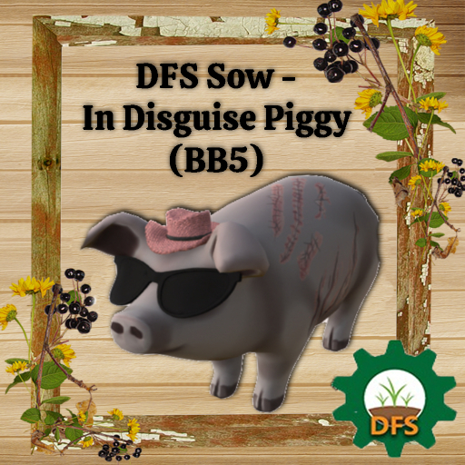 DFS Sow - In Disguise Piggy (BB5)